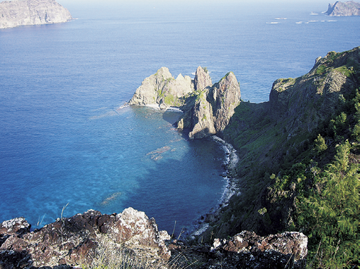川田(押田) 佳子 准教授3