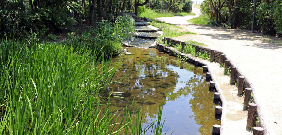 造園・緑地系設計事務所